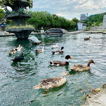 Kompleksi Turistik Dea Mjede Esterno foto