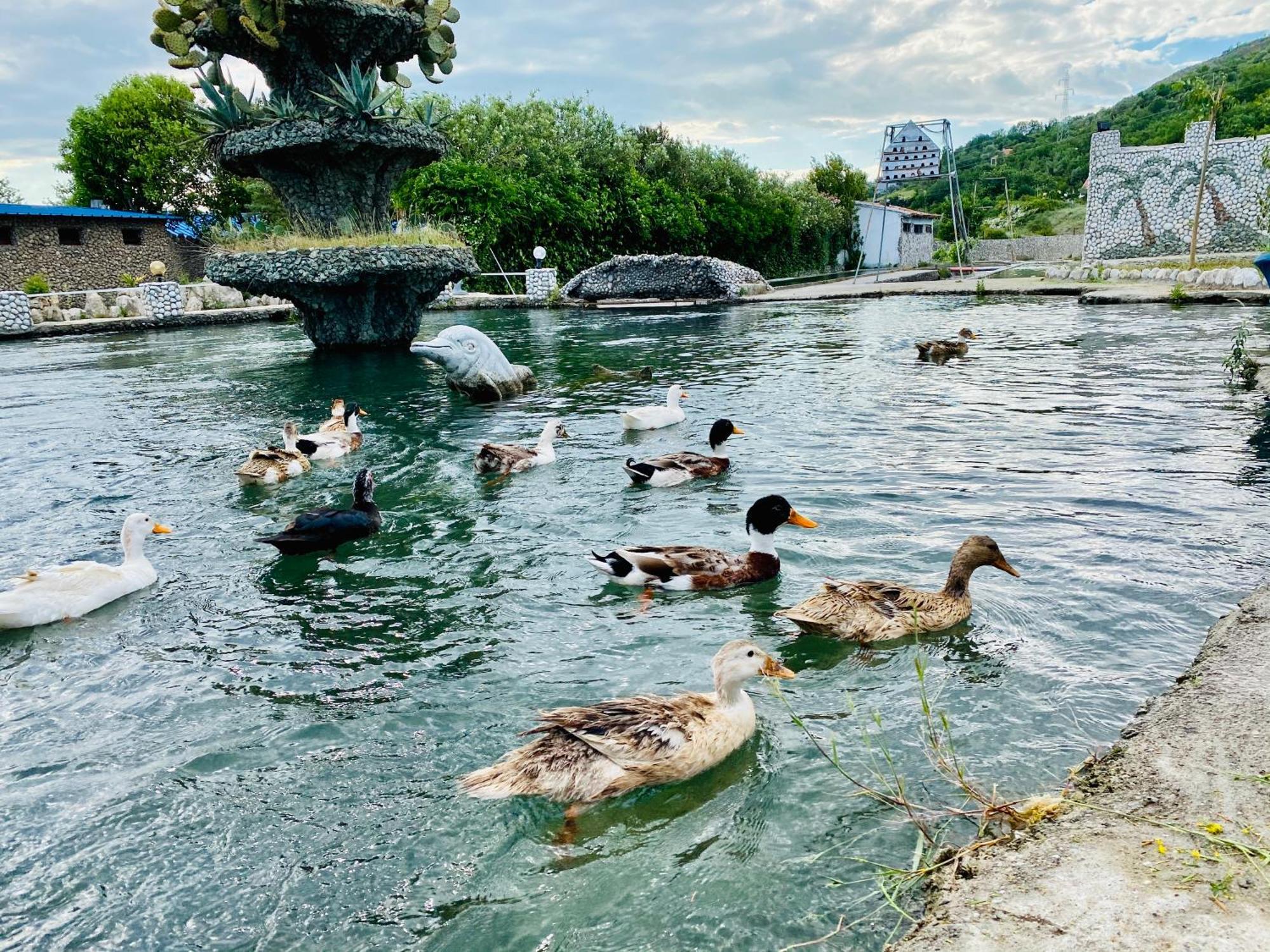 Kompleksi Turistik Dea Mjede Esterno foto